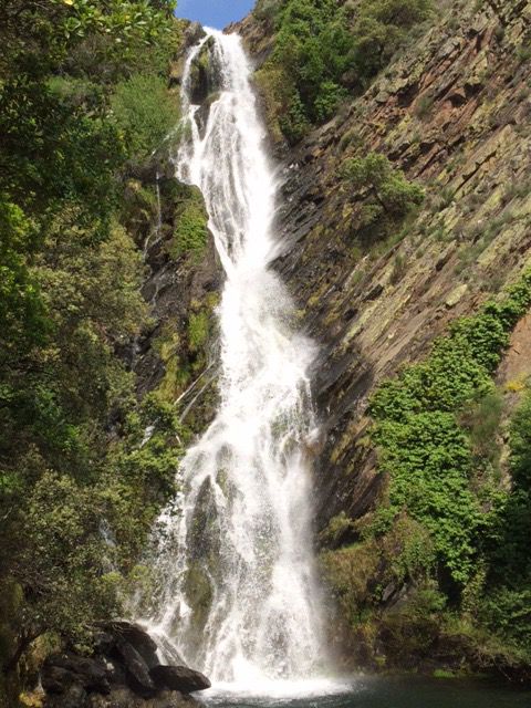 Cascada entre la vegetaci&oacute;n