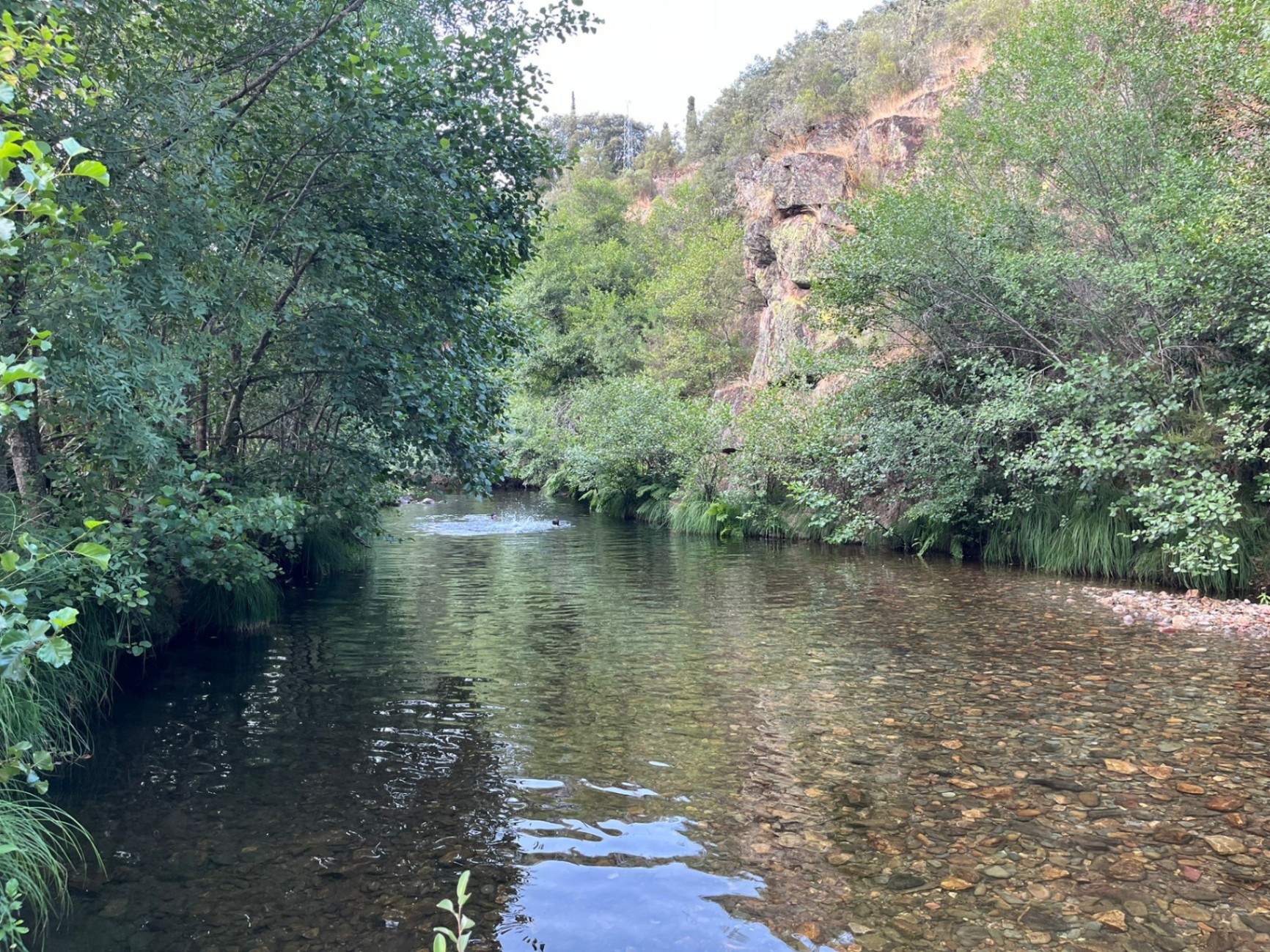 R&iacute;o serrano de aguas transparentes